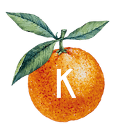 cropped-Koinobio_Logo_web